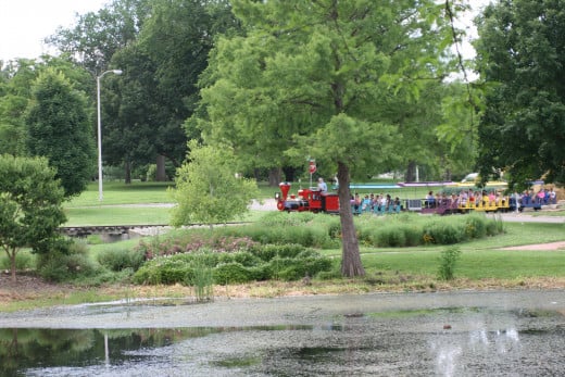 The Train Exploring the Park