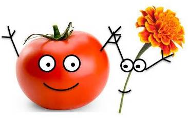 Vegetables are Friends