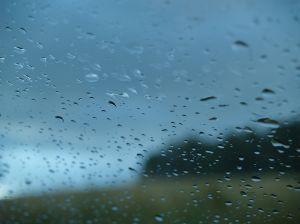 Raindrops on the window pane.