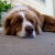 http://www.flickr.com/photos/joshme17/1557627176/ http://www.flickr.com/photos/joshme17/1557627176/