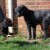 http://www.flickr.com/photos/hunterwilliams/3372920038/ http://www.flickr.com/photos/hunterwilliams/3372920038/