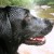 http://www.flickr.com/photos/mdu2boy/195410030/ http://www.flickr.com/photos/mdu2boy/195410030/