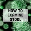 How to Examine Your Stool: Colors, Consistencies, and Photos