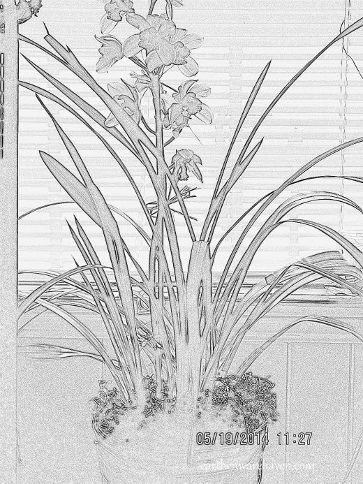 I am creating my first coloring book, so that I can go back to the stress free time, and smells of coloring.