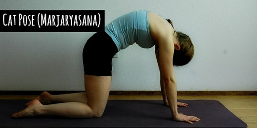 Cat Pose (Marjaryasana) makes you a lot more energetic just like the cats - Tiffany Berry