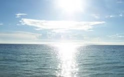 Inside the Sea