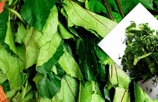Fruited pumpkin vegetable leaves (Before and after slicing) 
