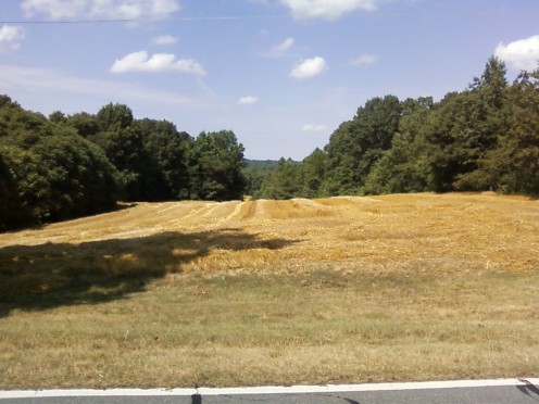 On June 18th 2015 the farmer finally had enough of all of the crop circle visitors and began harvesting the grain from the wheat plants. 