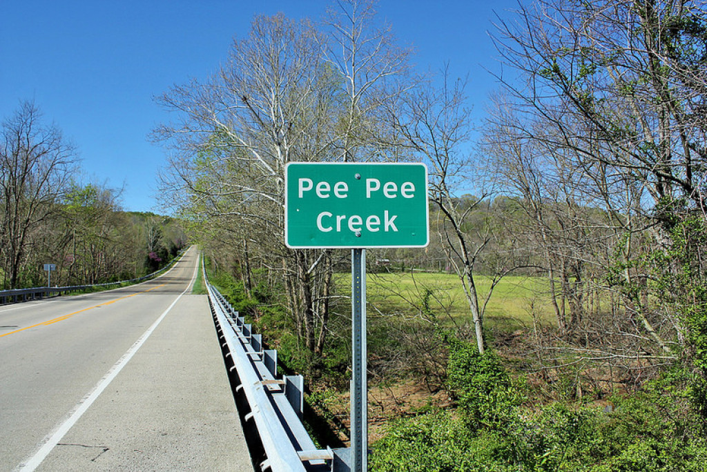 where did pee pee township come from