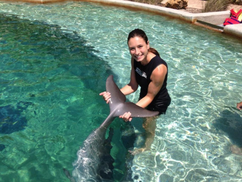 Swim with the dolphins on your family vacation and make memories you'll treasure for years to come