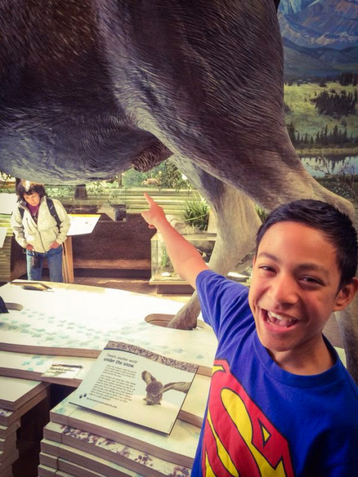 The wildlife exhibits at the Denali National Park visitors center museum can be a source of amusement to young children.