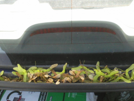 Creeping into the truck of the car, even.