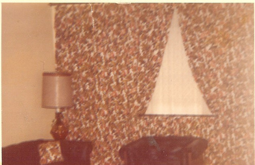 Tiny window made into wall of drapes-big reason couple bought the house