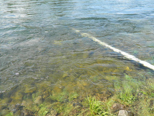 Even at high generation the river is crystal clear. And cold!!!