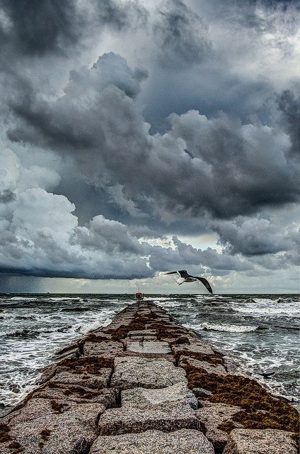 Historic rocky pier, site of a Civil War battle 
