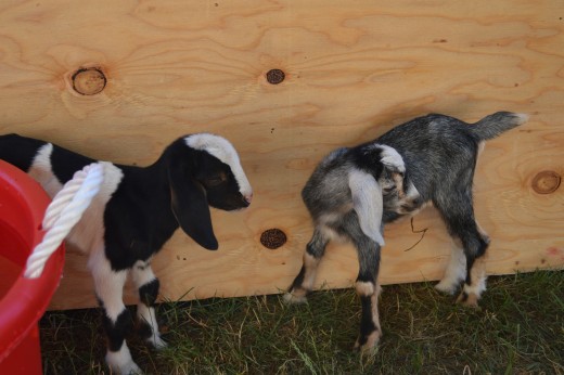 And our newest additions