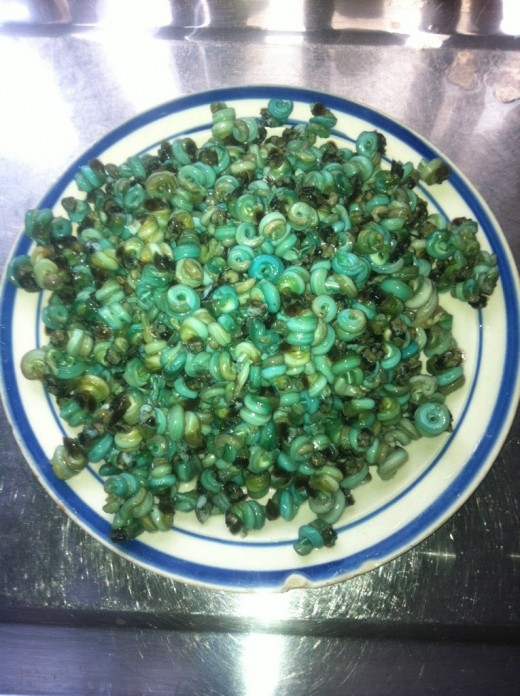 Periwinkles before use