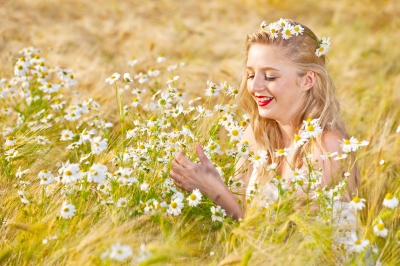 The Chamomile Plant... Image courtesy of Serge Bertasius Photography at The Chamomile Plant... Image courtesy of Serge Bertasius Photography at