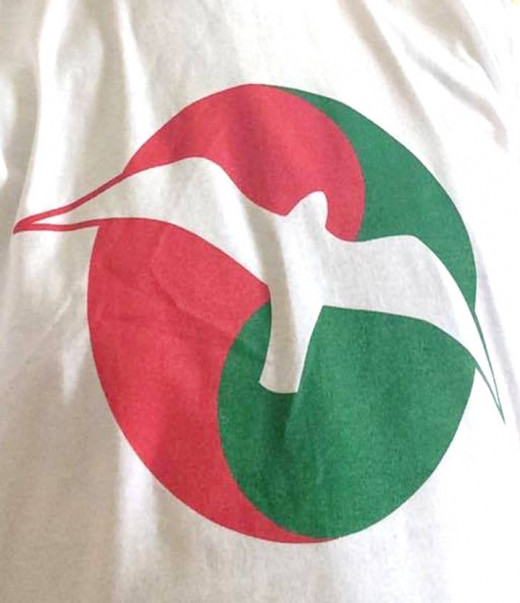 The gull design