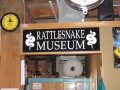 Visit The American International Rattlesnake Museum