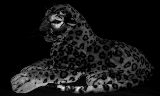 OK, she doesn't have a big cat legend per se, but she is certainly as dedicated a protector as one and you will not fall as she carries you. 