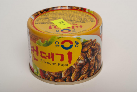 If you can't find it on the streets, there are canned beondegi in the markets. Yes, these are now in cans.