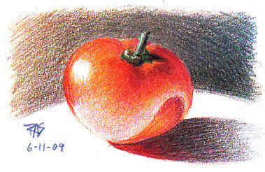 Tomato by Robert A. Sloan, colored pencil on paper.