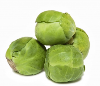 Image courtesy of Serge Bertasius Photography at  Image courtesy of Serge Bertasius Photography at