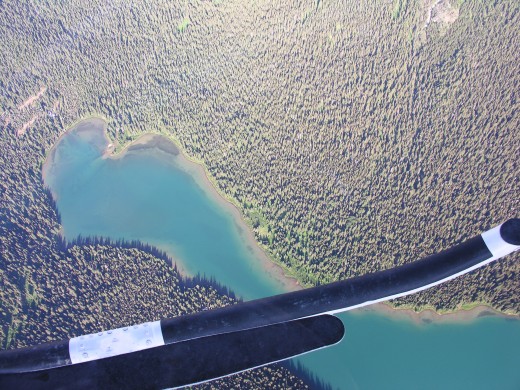 A view straight down including one of the helicopter's skids.