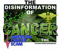 The Disinformation Of Cancer