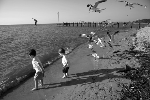Two boys playing on a Mobile, Alabama beach as a flock of seagulls fly overhead.
