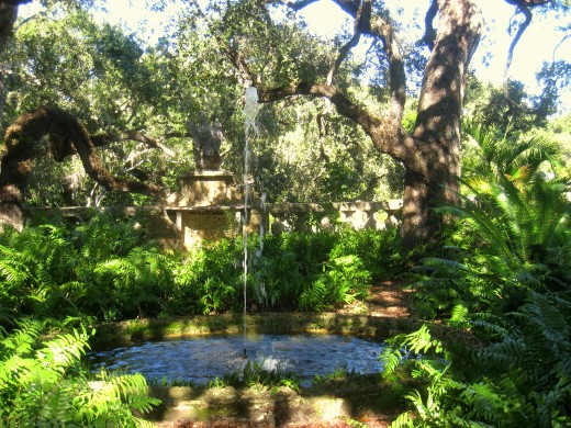 Water feature in Coconut Grove, FL