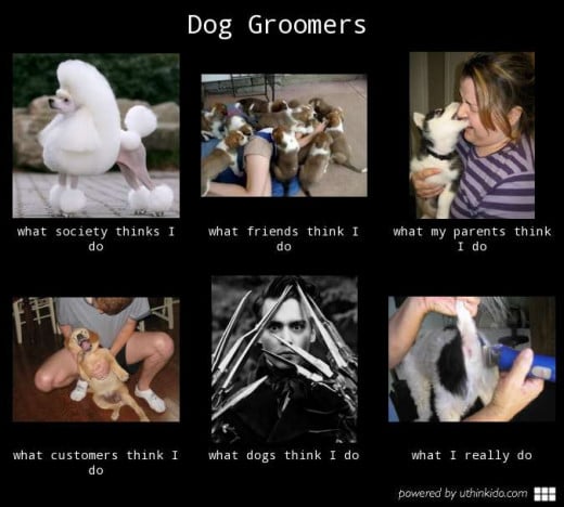 So You Want To Be A Groomer?