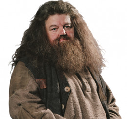 hagrid rubeus harry potter