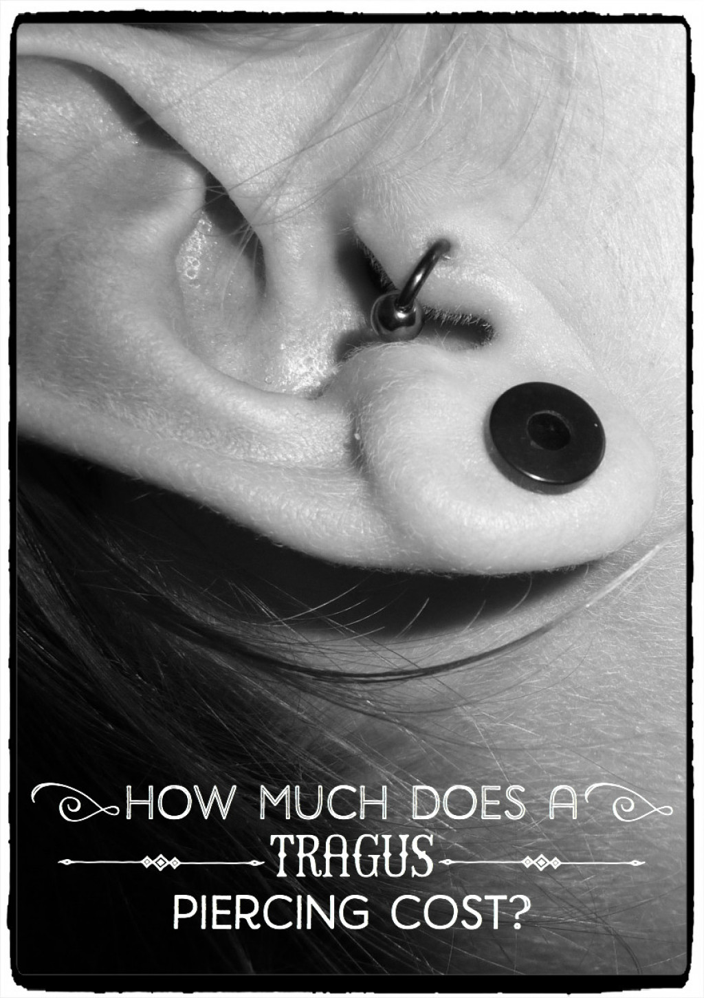 Tragus Piercing Cost, Jewelry, Pain, and Infection Risks hubpages