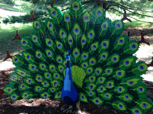 Peacock by artist Sean Kenney, on display at the Morton Arboretum
