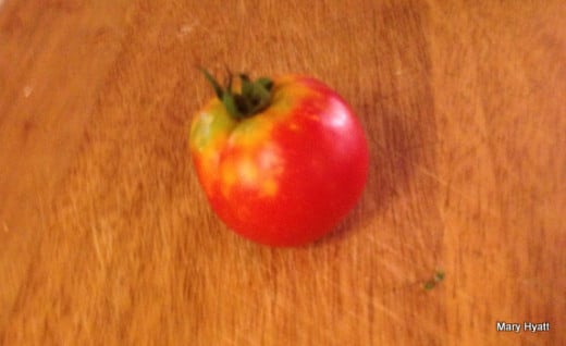 My failed attempt at growing a tomato.  It's pretty sad, right?
