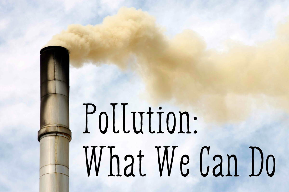 Air pollution control law do your essay