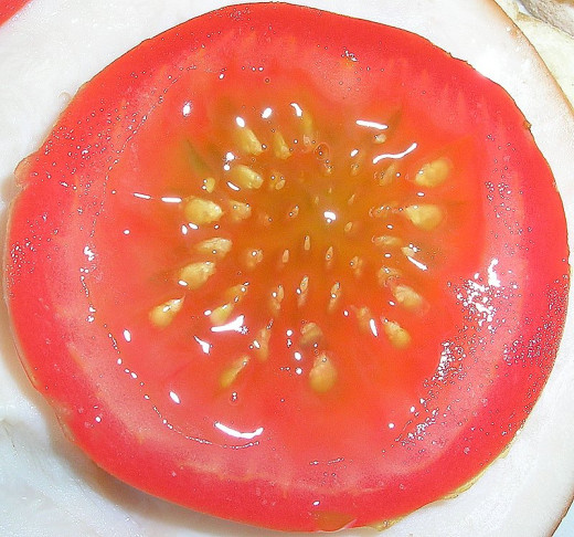 Tomato seeds do well for me if I let them dry out on a piece of wax paper, surrounded by some of the tomato pulp and juice. That's how the seeds would germinate if the tomato fell to the ground on its own.