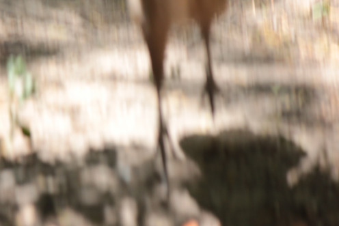 Portrait session over Portrait session over