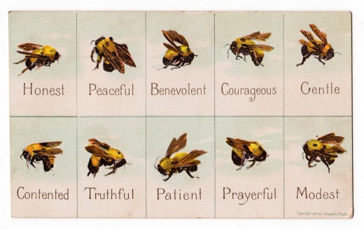 Bee Honest
