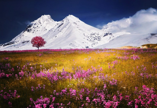 Beautiful nature