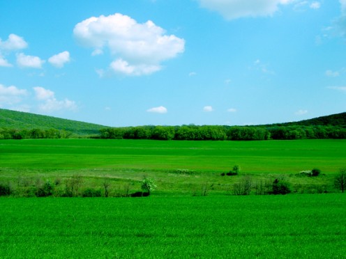 A rich grassy set of fields in the valley