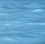 HubPages profile picture for @elena