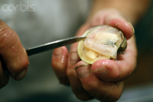 Shucking oysters without wearing plastic gloves is one sign of a filthy restaurant.