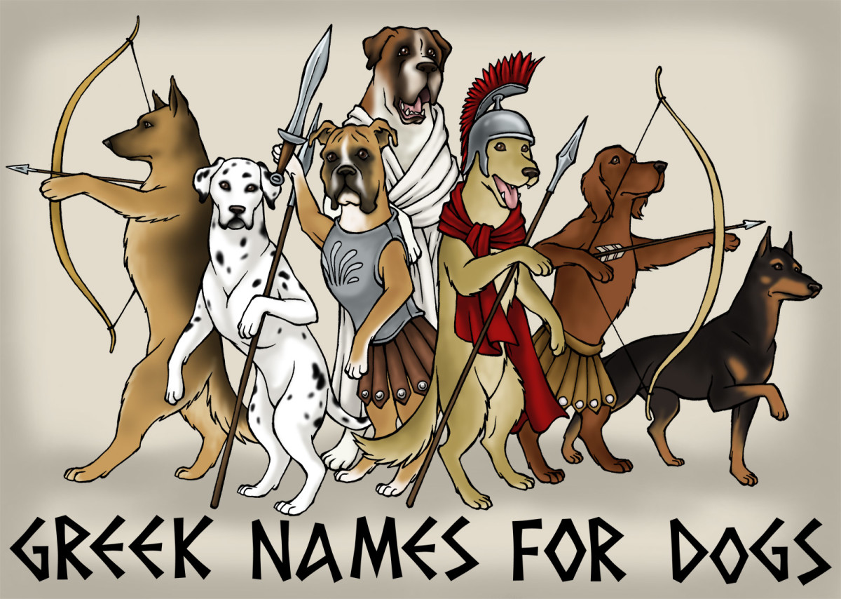 101 Male Greek God Names That Make Cool Dog Names Pethelpful