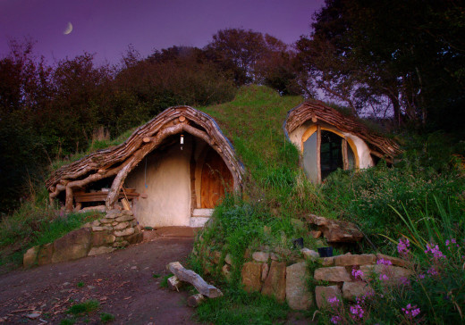 A small of the grid cottage that blends into it's surroundings. 