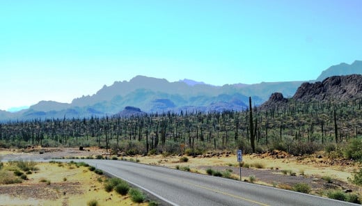 Baja Sur, State Highway 1... the high desert.