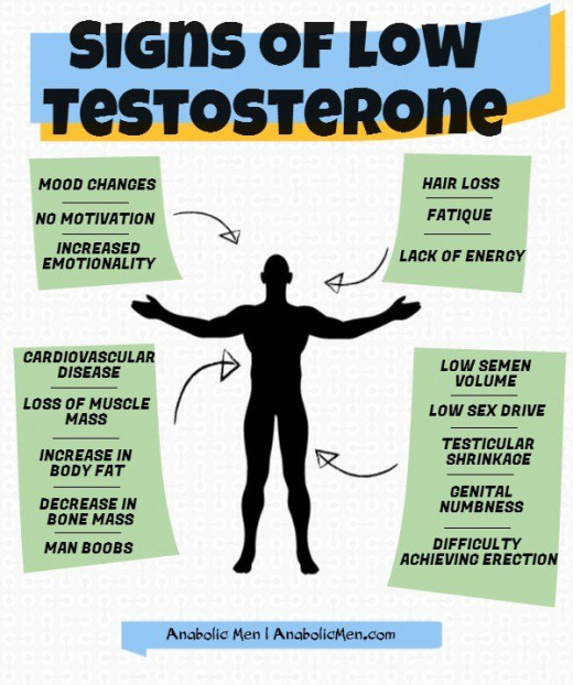 Healthy Testosterone Levels for Men HubPages