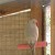 Oriel, our female. Oriel, our female.